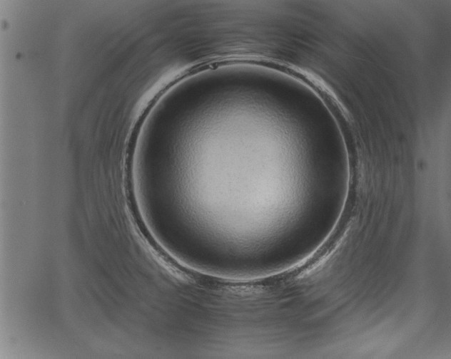 X0000067911333200604131334