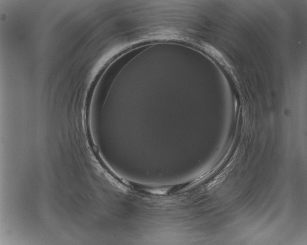 X0000067911334200604131334