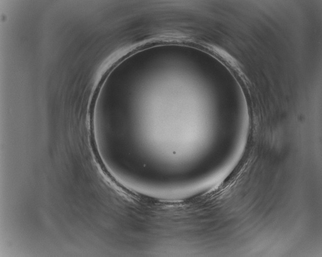 X0000067911335200604131334