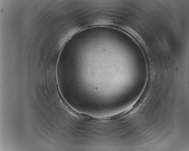 X0000067911337200604131334