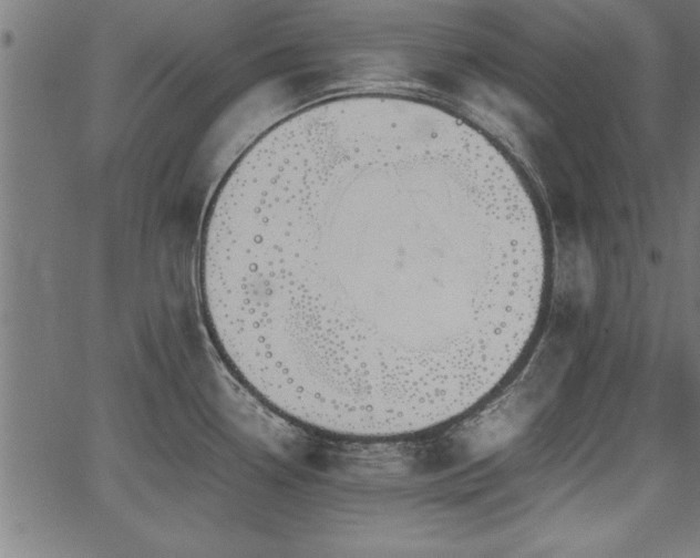 X0000067911338200604131334