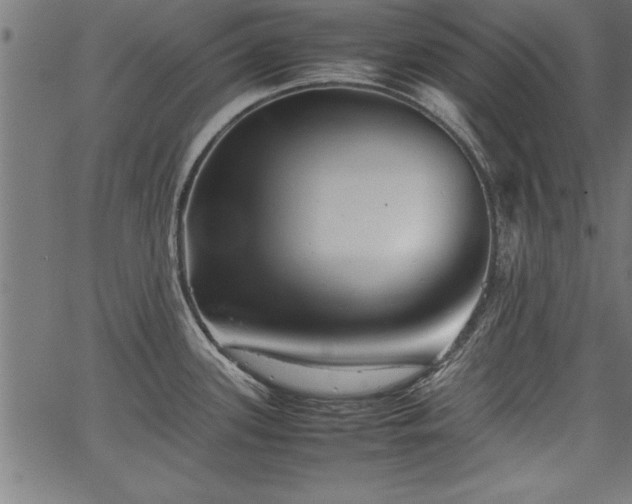 X0000067911339200604131334