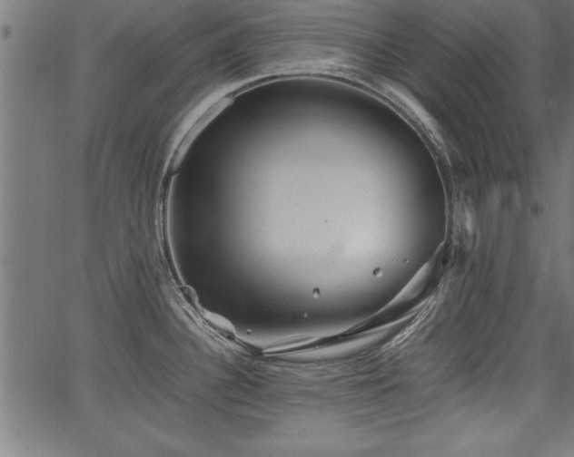 X0000067911340200604131334