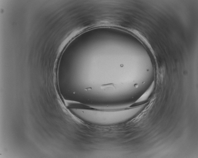 X0000067911341200604131334