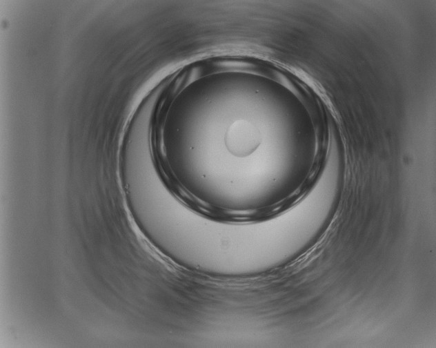 X0000067911342200604131334