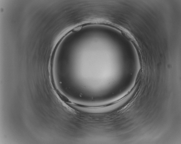 X0000067911343200604131334