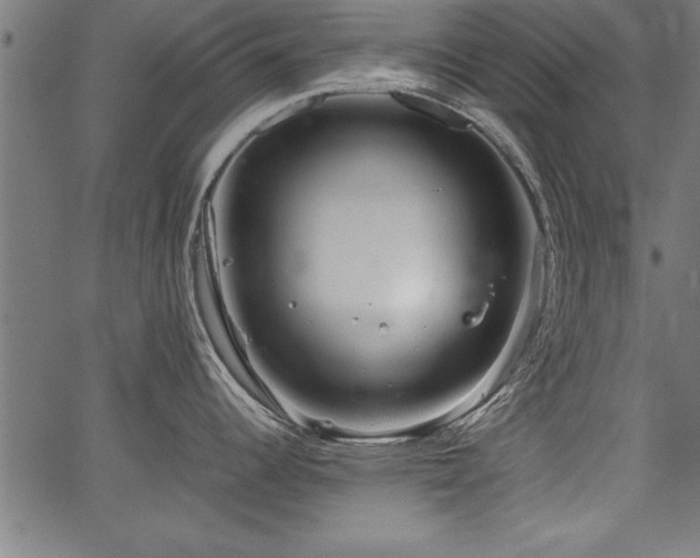 X0000067911344200604131334