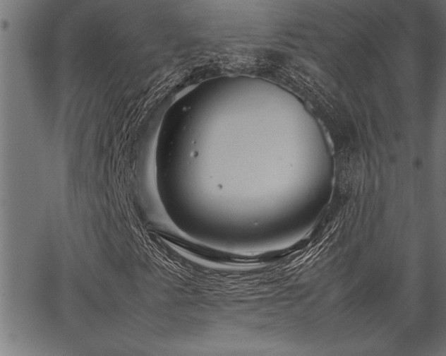 X0000067911345200604131333