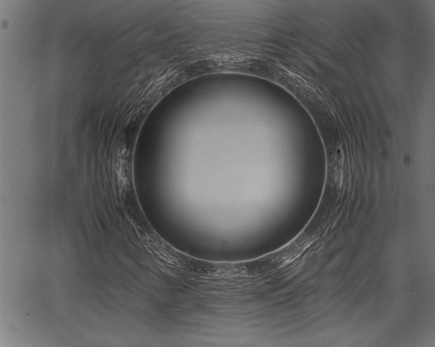 X0000067911346200604131333