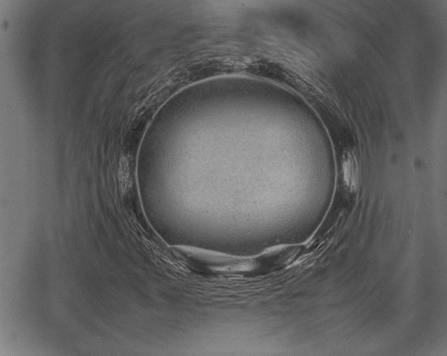 X0000067911347200604131333