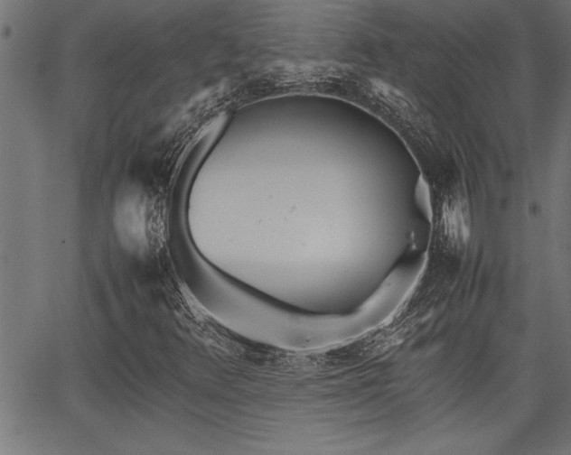 X0000067911348200604131333