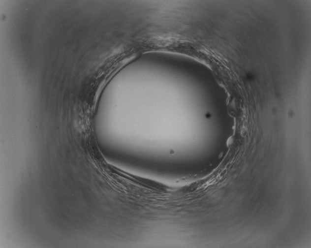 X0000067911349200604131333