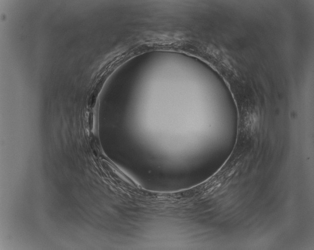 X0000067911350200604131333