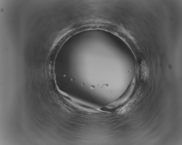 X0000067911352200604131333