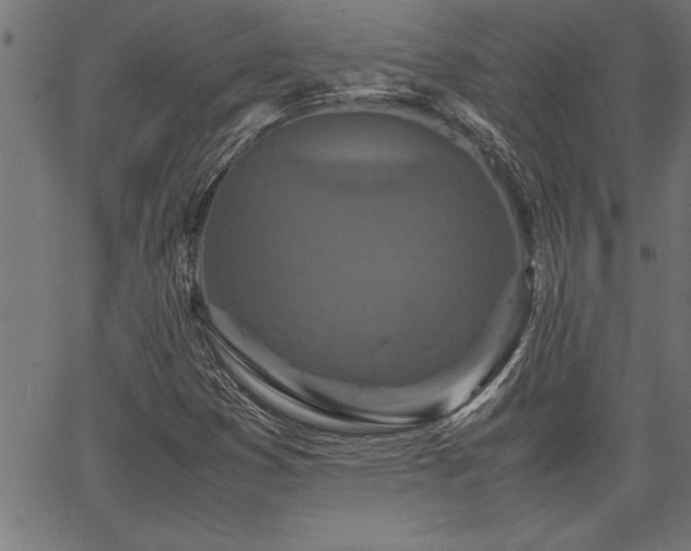 X0000067911353200604131333