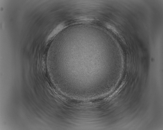 X0000067911354200604131333