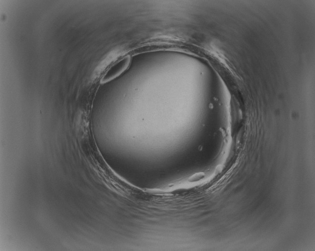 X0000067911355200604131333