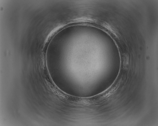 X0000067911358200604131333