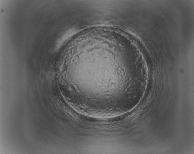 X0000067911359200604131333