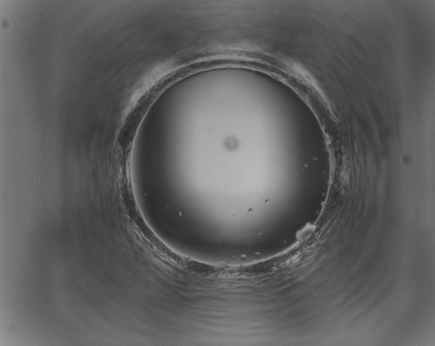 X0000067911360200604131333