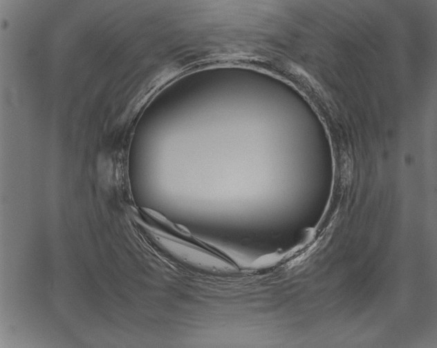 X0000067911361200604131333