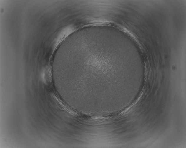 X0000067911362200604131333