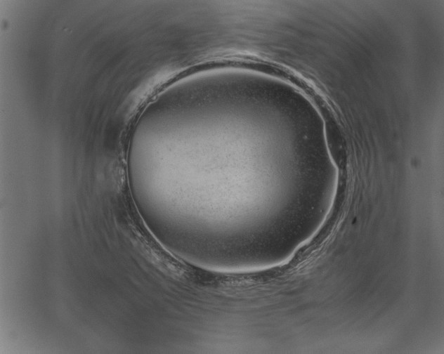 X0000067911363200604131333