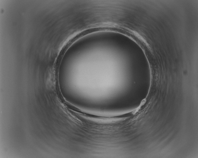 X0000067911364200604131333