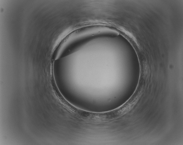 X0000067911365200604131333