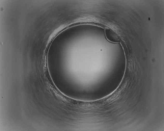 X0000067911366200604131333