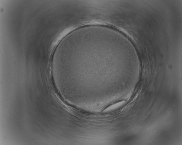 X0000067911367200604131333