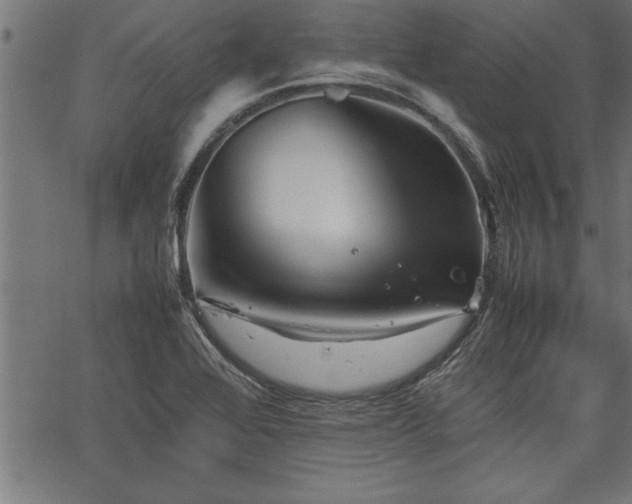 X0000067911368200604131333