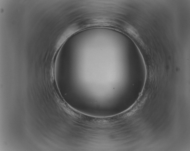 X0000067911370200604131333