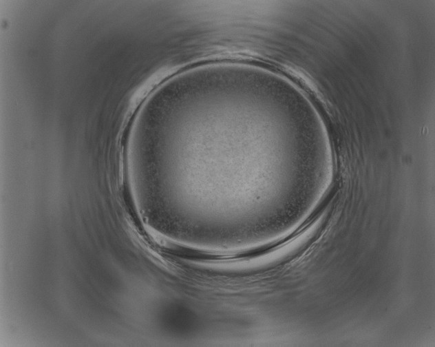 X0000067911371200604131333