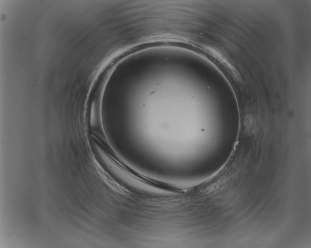 X0000067911372200604131333