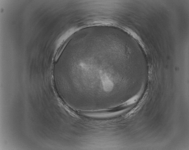 X0000067911373200604131333