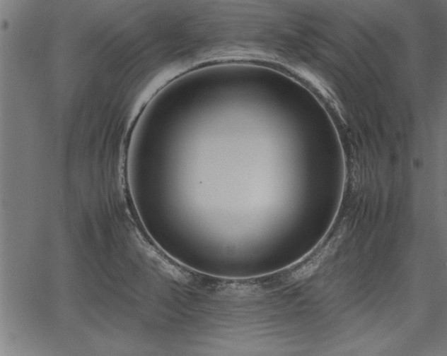 X0000067911374200604131333