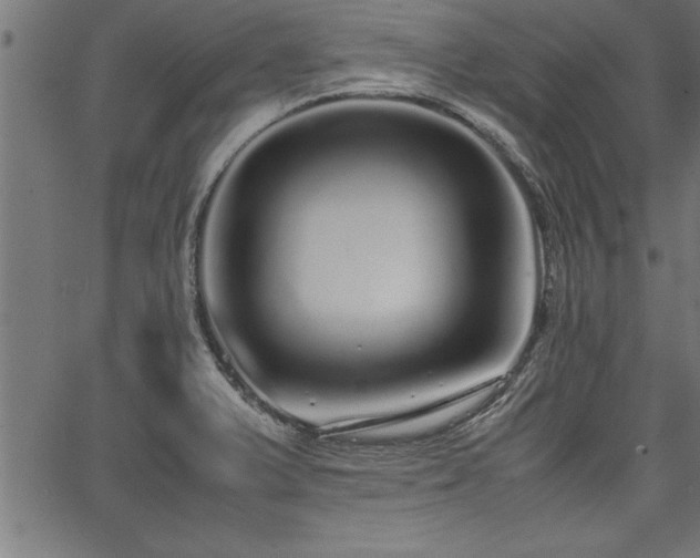 X0000067911375200604131333