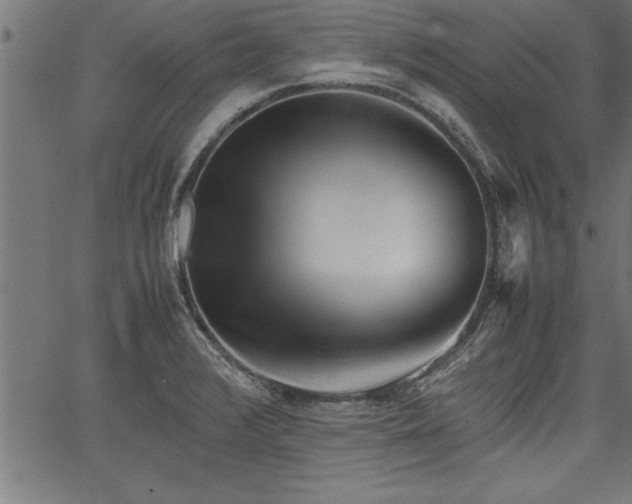 X0000067911376200604131333