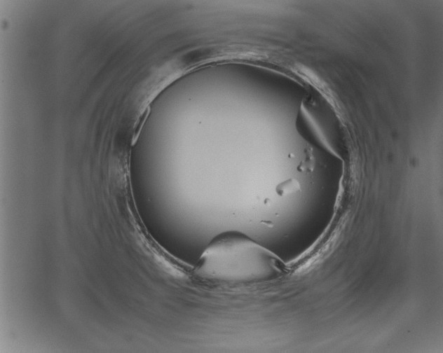 X0000067911377200604131333