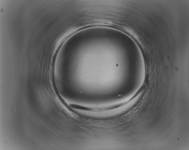 X0000067911379200604131332