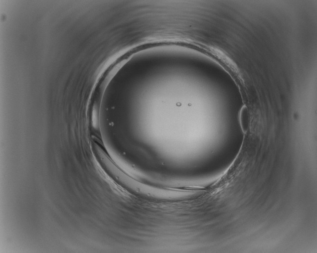 X0000067911380200604131332