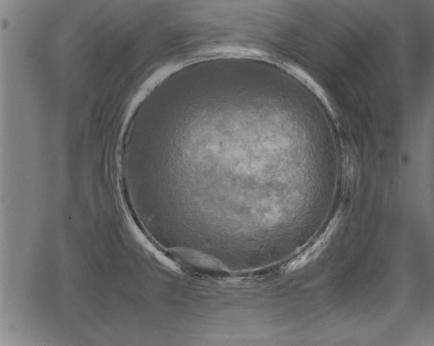 X0000067911381200604131332