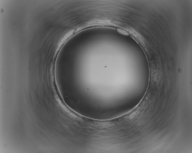 X0000067911382200604131332