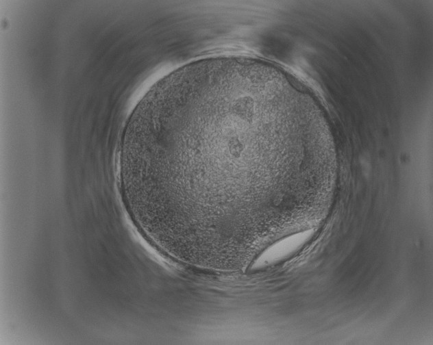 X0000067911383200604131332