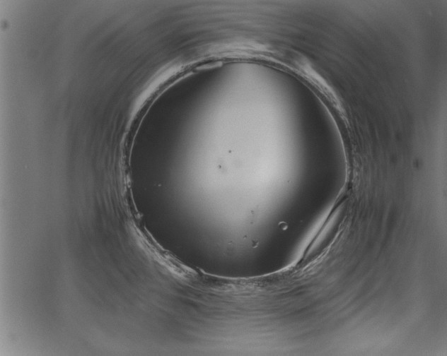 X0000067911384200604131332