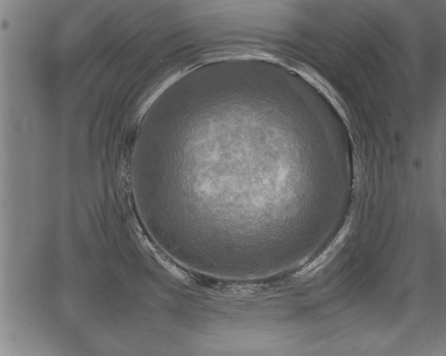 X0000067911385200604131332