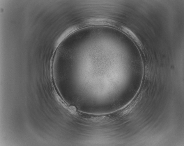 X0000067911386200604131332