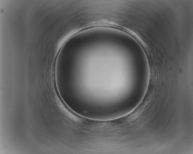 X0000067911387200604131332