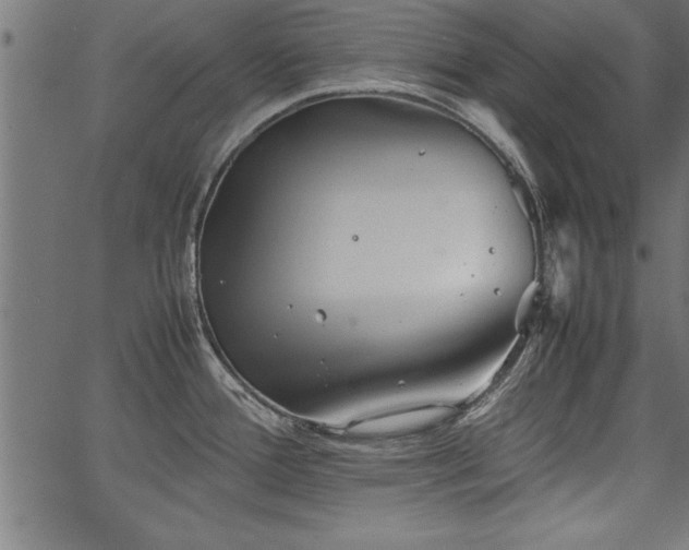 X0000067911388200604131332